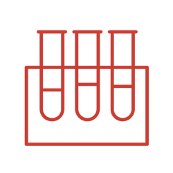 ChatGPT Image 1 oct 2025, 06_34_21 p.m. - Editada ChatGPT Image 1 oct 2025, 06_34_21 p.m. - Editada