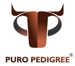 puro_pedigree