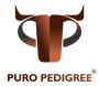 puro_pedigree