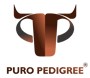 puro_pedigree
