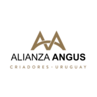 1-Feb-13-2026-08-01-40-0072-PM