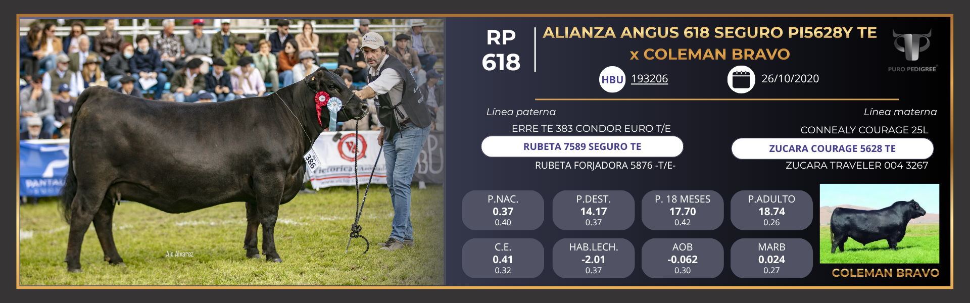 ALIANZA ANGUS 618 SEGURO PI5628Y TE x COLEMAN BRAVO