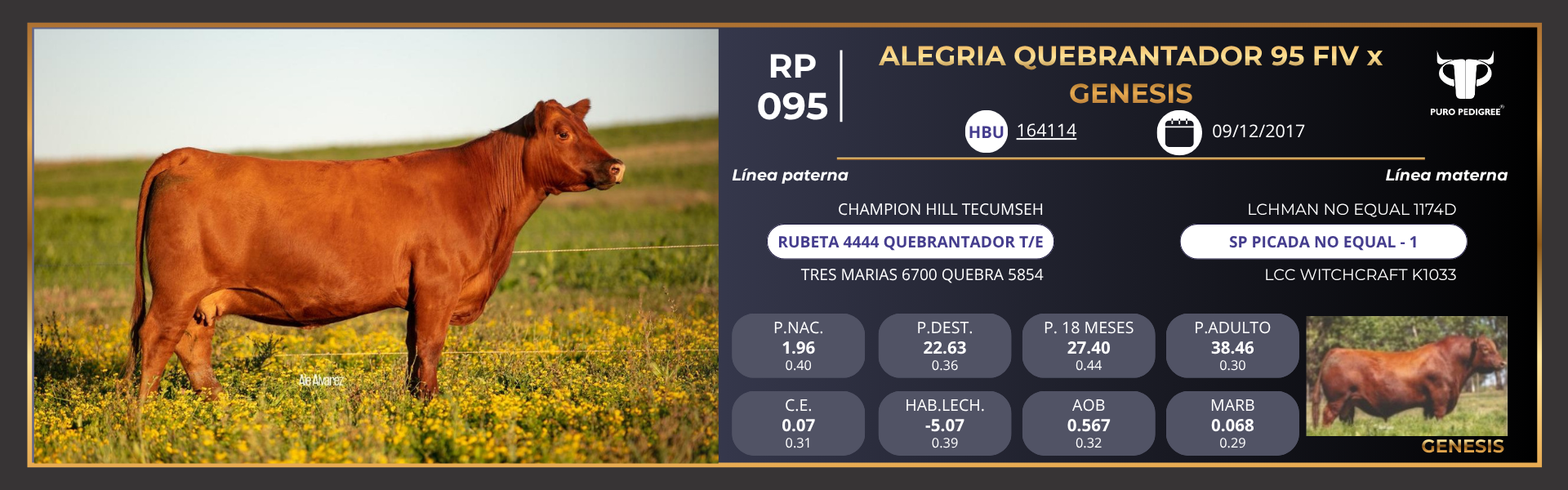 Ficha ALEGRÍA QUEBRANTADOR 95 FIV x GENESIS Ficha ALEGRÍA QUEBRANTADOR 95 FIV x GENESIS