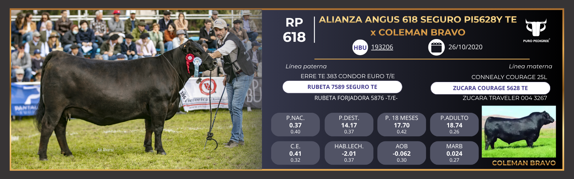 Ficha ALIANZA ANGUS 618 SEGURO PI5628Y TE x COLEMAN BRAVO Ficha ALIANZA ANGUS 618 SEGURO PI5628Y TE x COLEMAN BRAVO