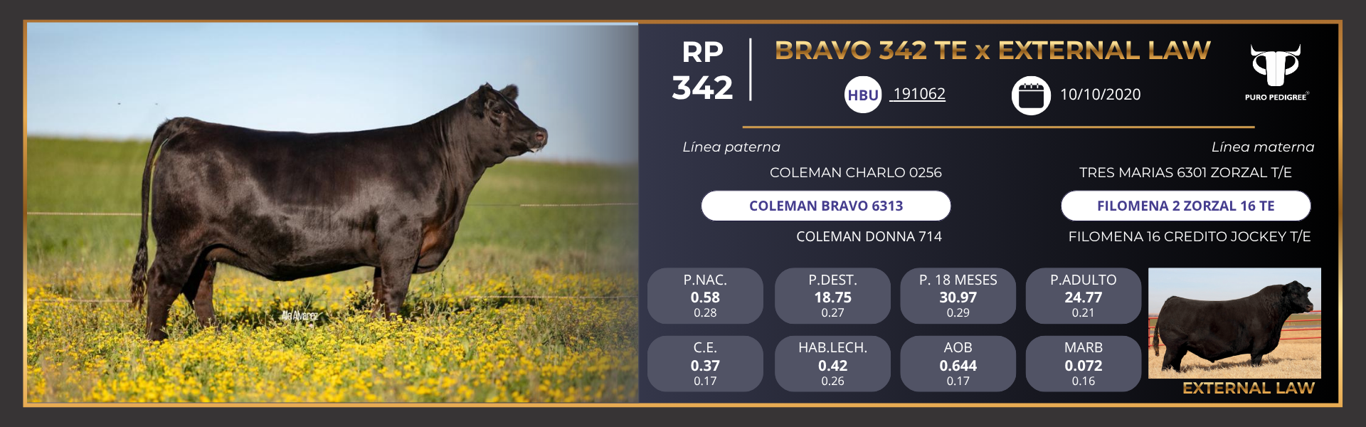 Ficha BRAVO 342 TE x EXTERNAL LAW Ficha BRAVO 342 TE x EXTERNAL LAW