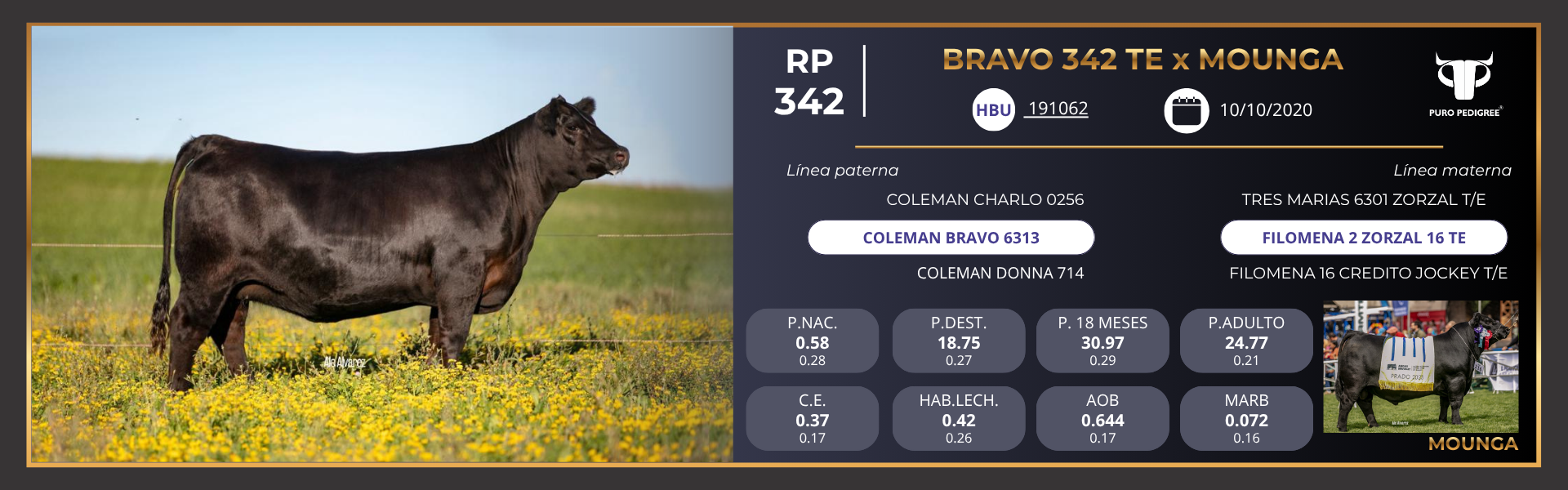 ANG - Ficha BRAVO 342 TE x MOUNGA ANG - Ficha BRAVO 342 TE x MOUNGA