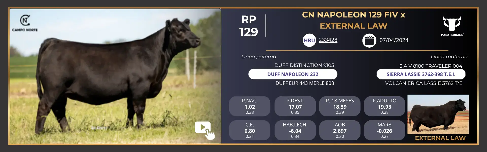 ANG - Ficha CN NAPOLEON 129 FIV x EXTERNAL LAW