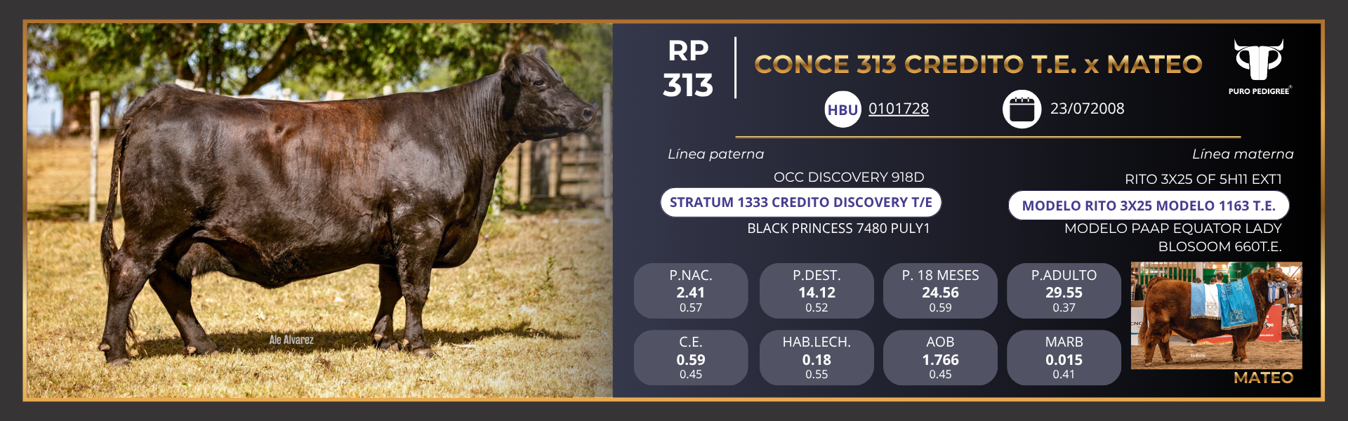 ANG - Ficha CONCE 313 CREDITO T.E. x MATEO ANG - Ficha CONCE 313 CREDITO T.E. x MATEO