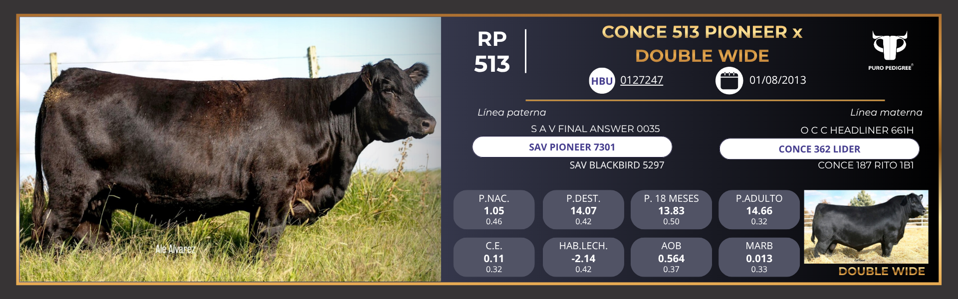 Ficha CONCE 513 PIONEER x SAV DOUBLE WIDE Ficha CONCE 513 PIONEER x SAV DOUBLE WIDE