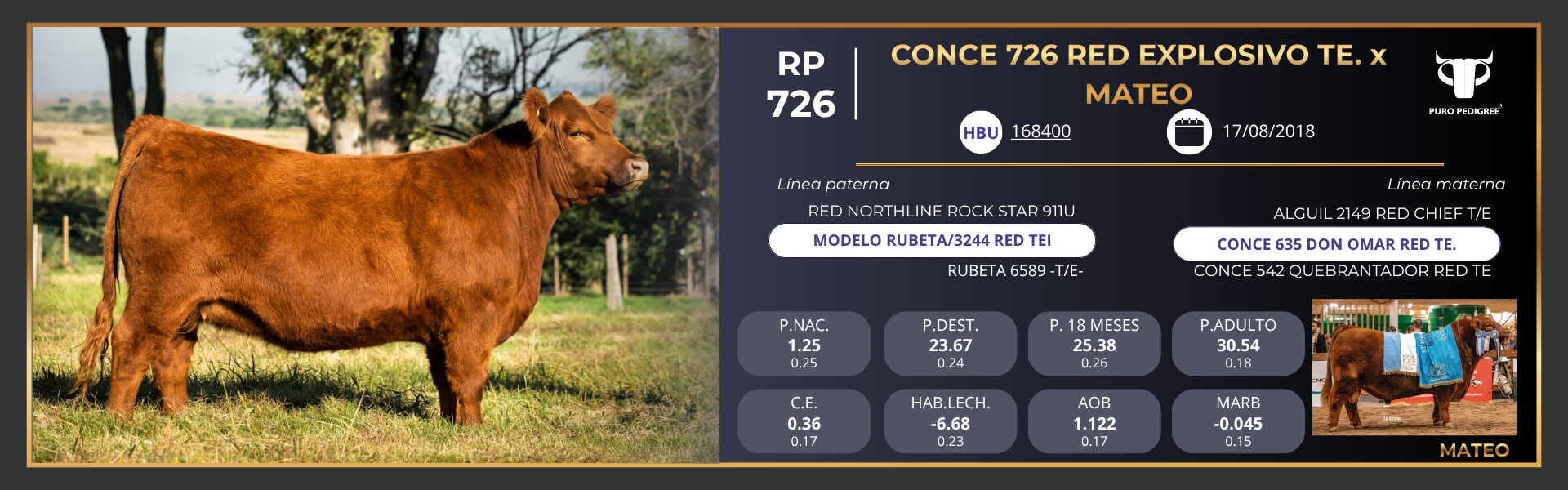 Ficha CONCE 726 RED EXPLOSIVO TE. x MATEO Ficha CONCE 726 RED EXPLOSIVO TE. x MATEO