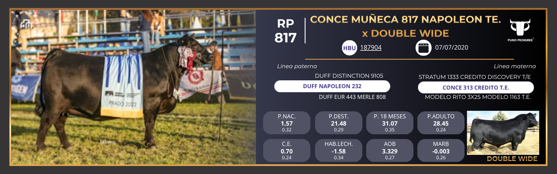 Ficha CONCE MUÑECA 817 NAPOLEON TE. x DOUBLE WIDE Ficha CONCE MUÑECA 817 NAPOLEON TE. x DOUBLE WIDE