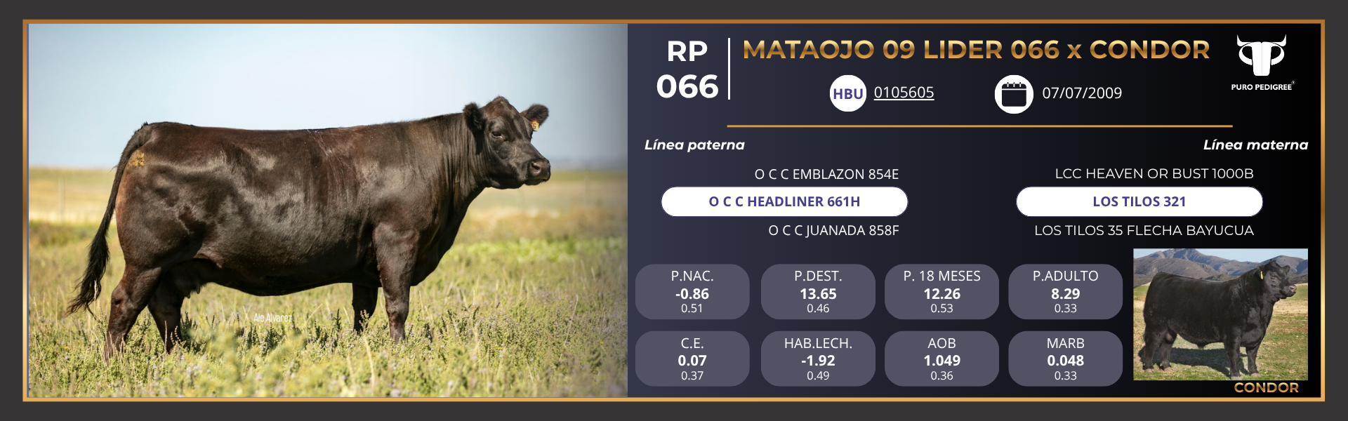 Ficha MATAOJO 09 LIDER 066 x CONDOR Ficha MATAOJO 09 LIDER 066 x CONDOR