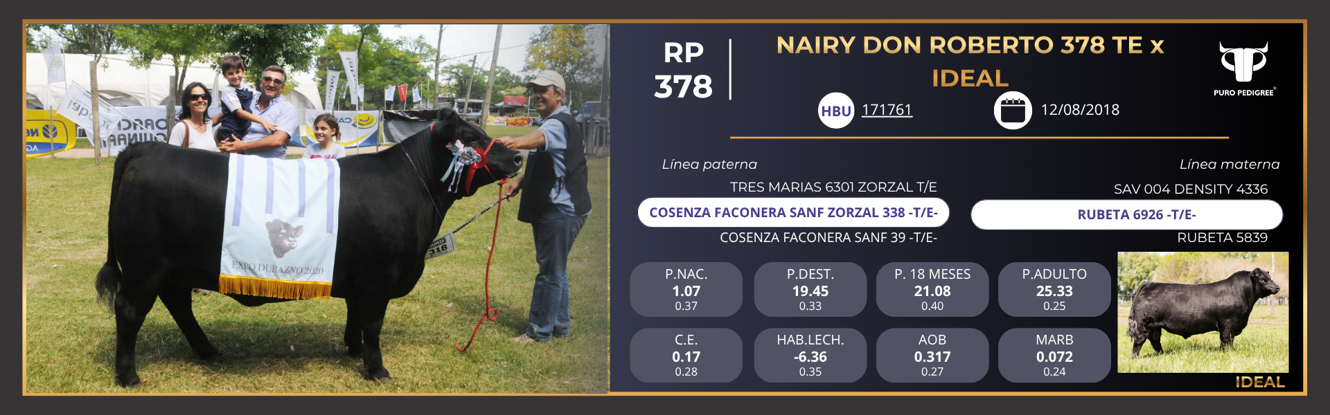 Ficha NAIRY DON ROBERTO 378 TE x IDEAL Ficha NAIRY DON ROBERTO 378 TE x IDEAL