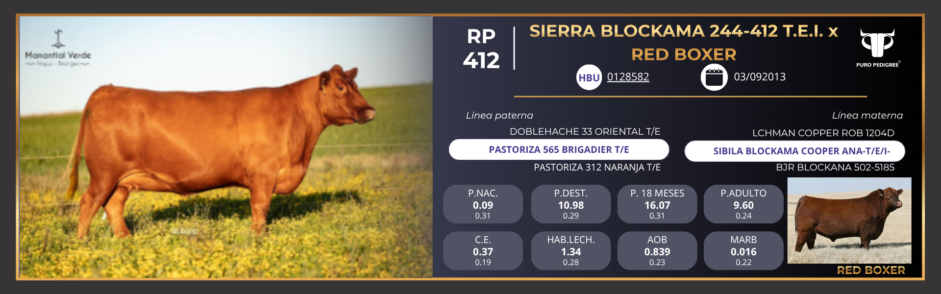 Ficha SIERRA BLOCKAMA 244-412 T.E.I. x RED BOXER Ficha SIERRA BLOCKAMA 244-412 T.E.I. x RED BOXER