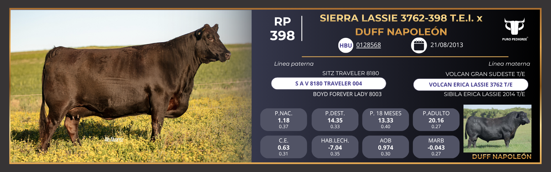 Ficha SIERRA LASSIE 3762-398 T.E.I. x DUFF NAPOLEÓN Ficha SIERRA LASSIE 3762-398 T.E.I. x DUFF NAPOLEÓN