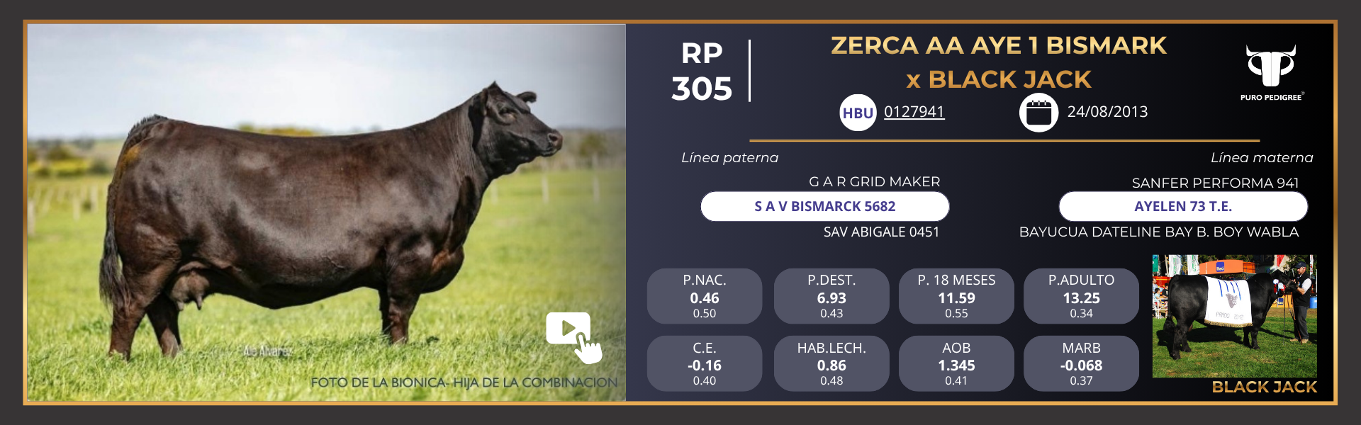 ANG - Ficha ZERCA AA AYE 1 BISMARK x BLACK JACK ANG - Ficha ZERCA AA AYE 1 BISMARK x BLACK JACK