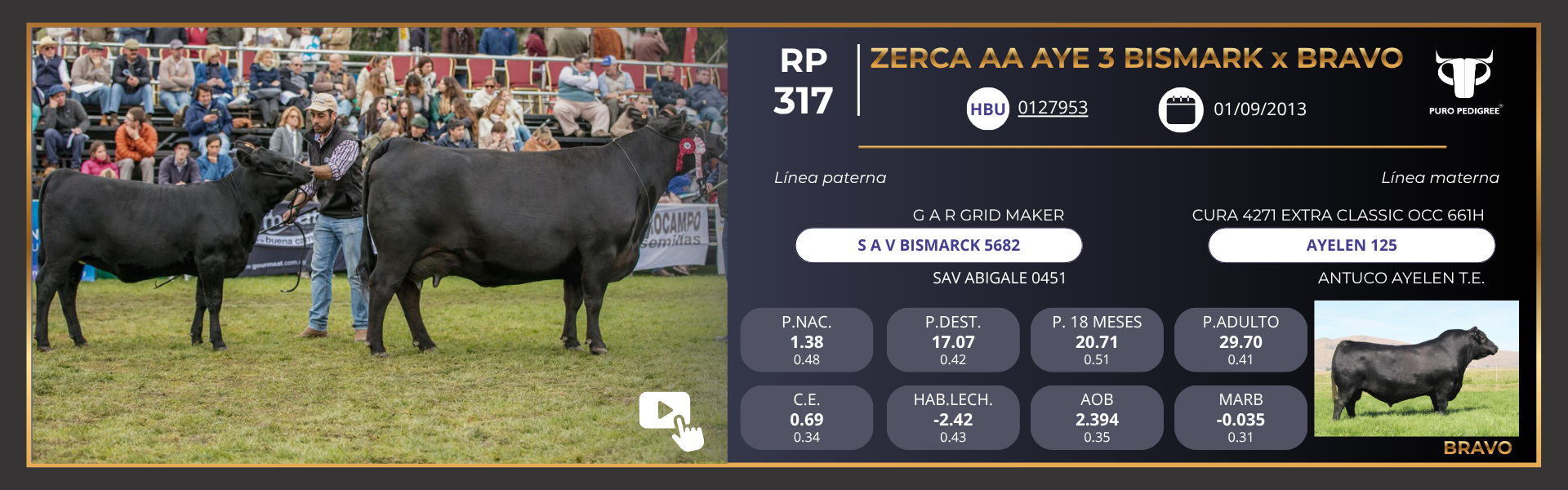 Ficha ZERCA AA AYE 3 BISMARK x BRAVO Ficha ZERCA AA AYE 3 BISMARK x BRAVO