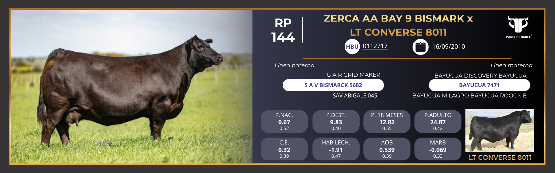 ANG - Ficha ZERCA AA BAY 9 BISMARK x LT CONVERSE 8011 ANG - Ficha ZERCA AA BAY 9 BISMARK x LT CONVERSE 8011