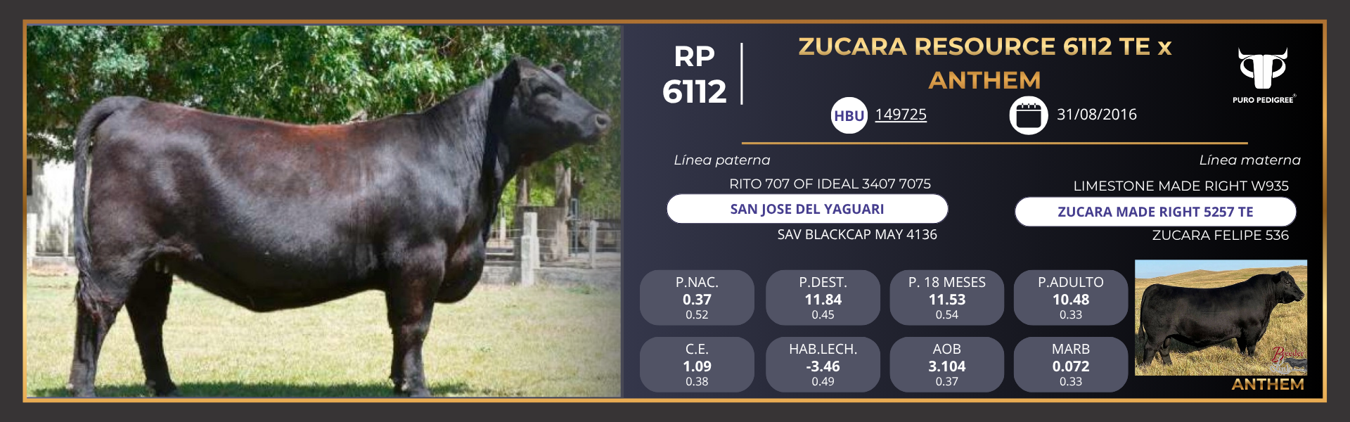 Ficha ZUCARA RESOURCE 6112 TE x ATHEM Ficha ZUCARA RESOURCE 6112 TE x ATHEM