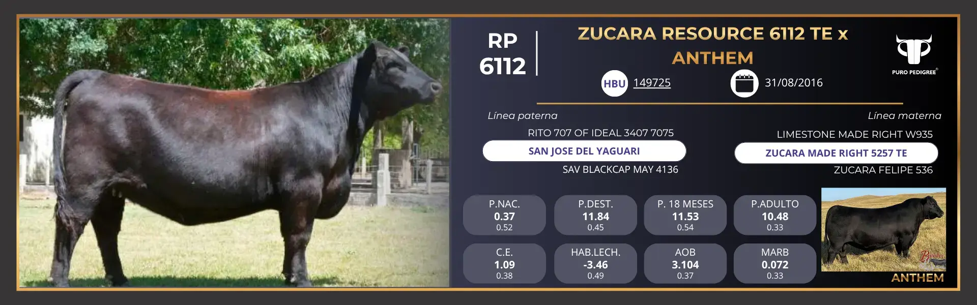 ANG - Ficha ZUCARA RESOURCE 6112 TE x ATHEM