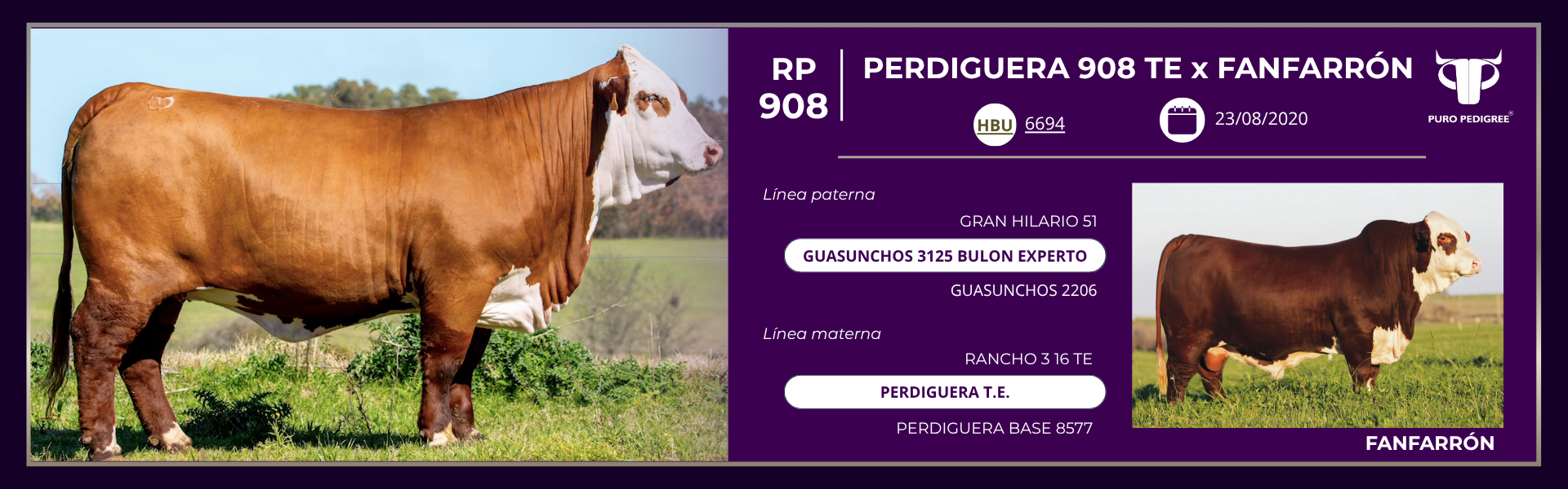 Ficha PERDIGUERA 908 TE x FANFARRÓN-1