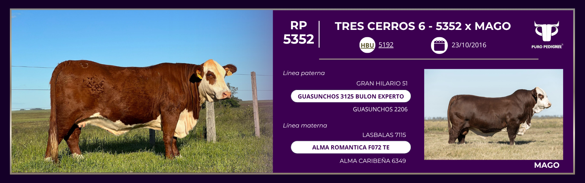 Ficha TRES CERROS 6 - 5352 x MAGO