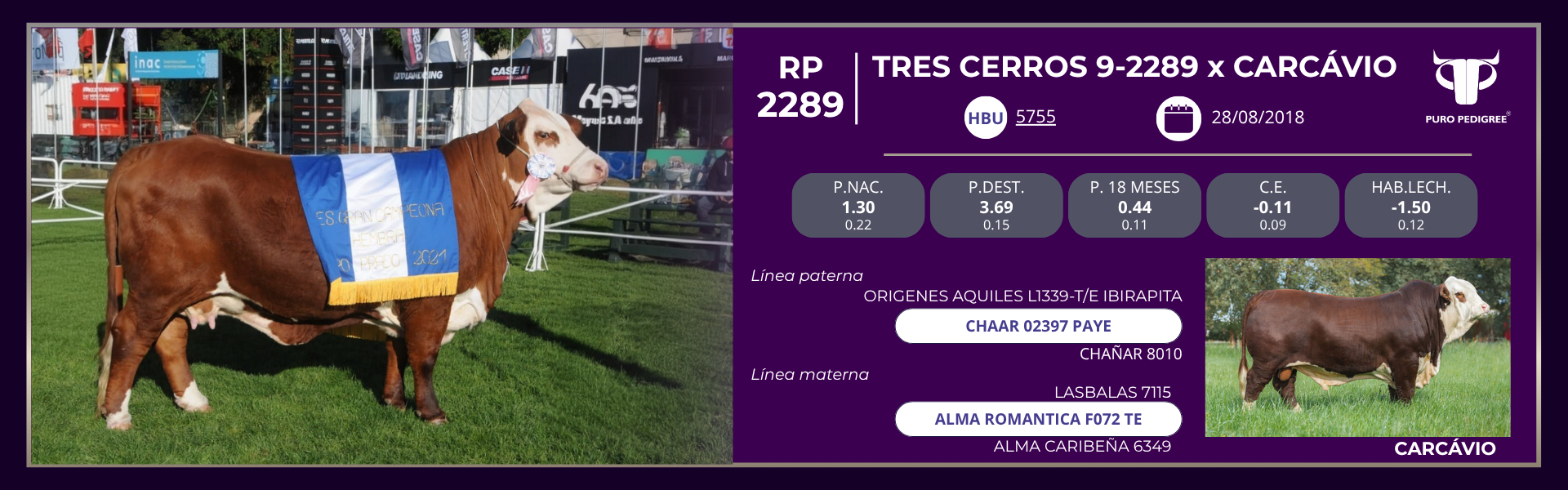 Ficha TRES CERROS 9-2289 x CARCÁVIO