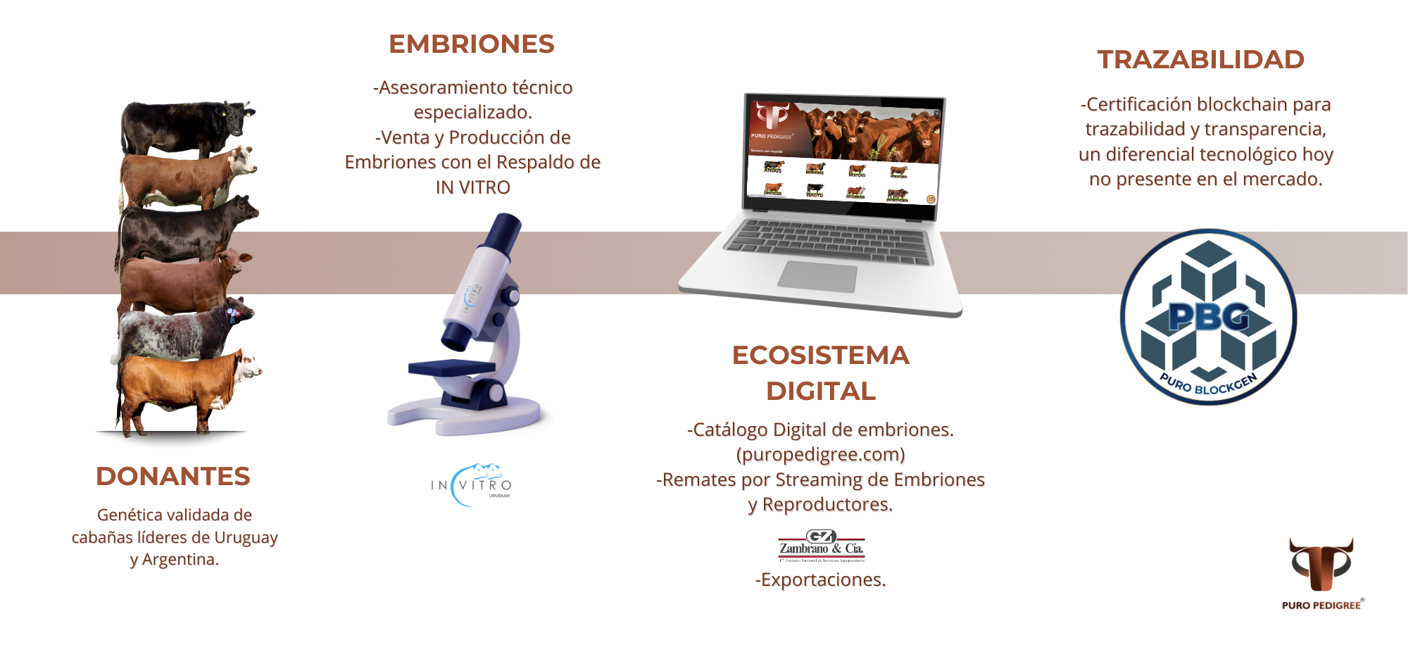 Ciclo Puro Pedigree-1