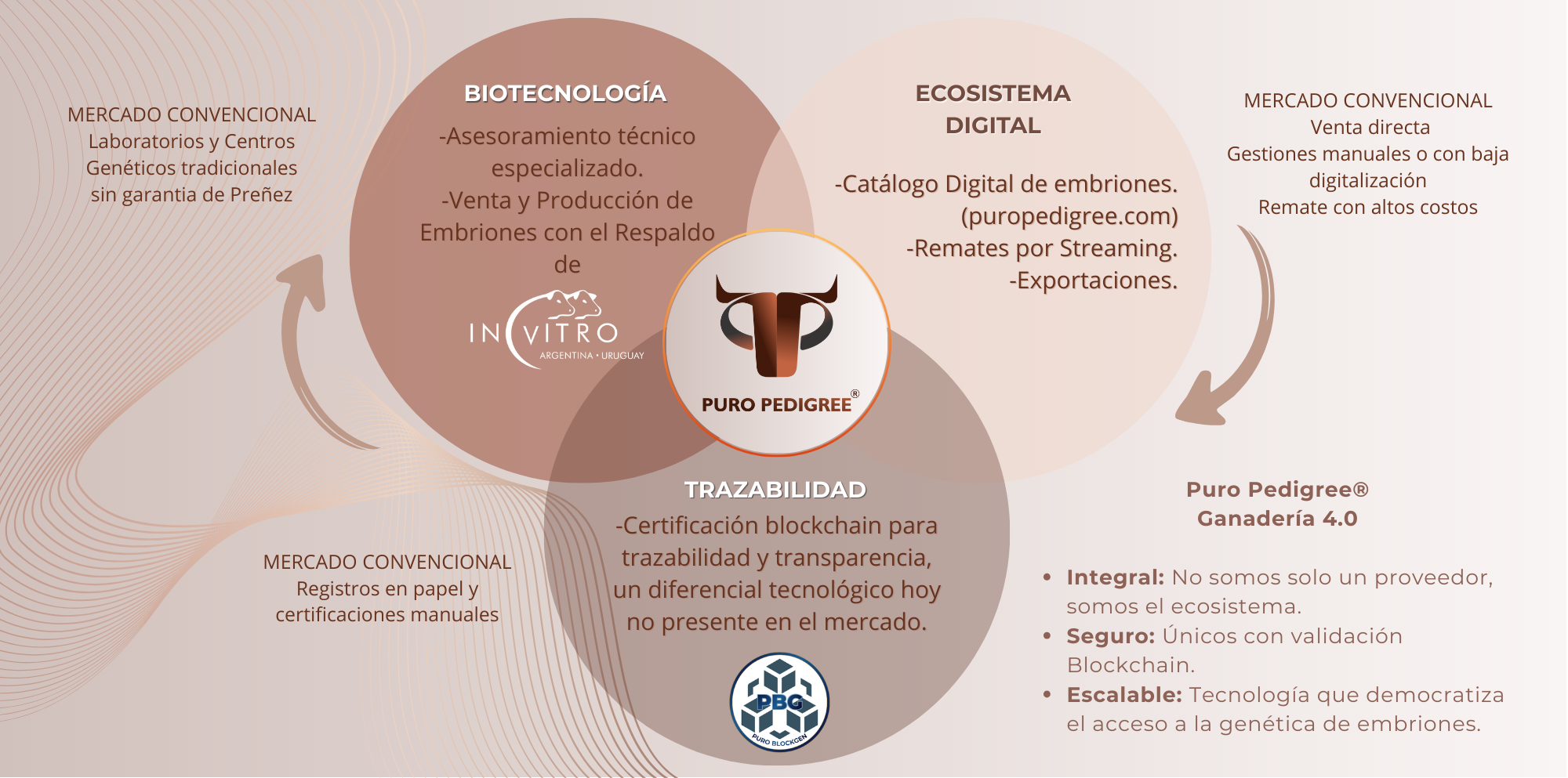 Diferenciación competencia-1