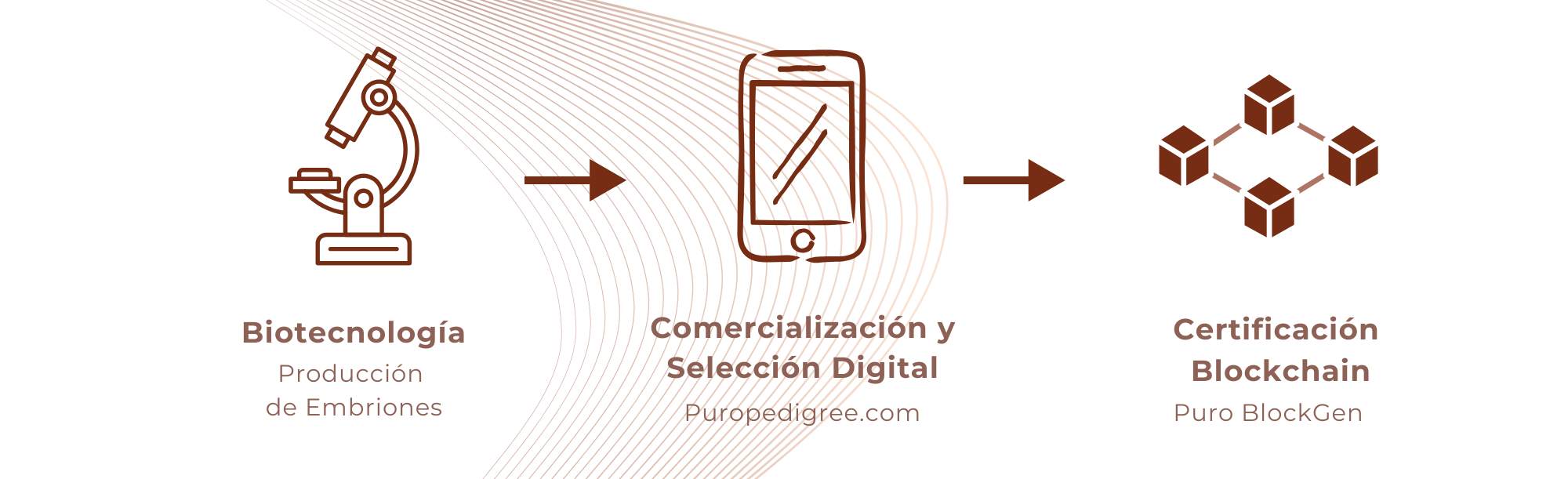 Elementos ecosistema