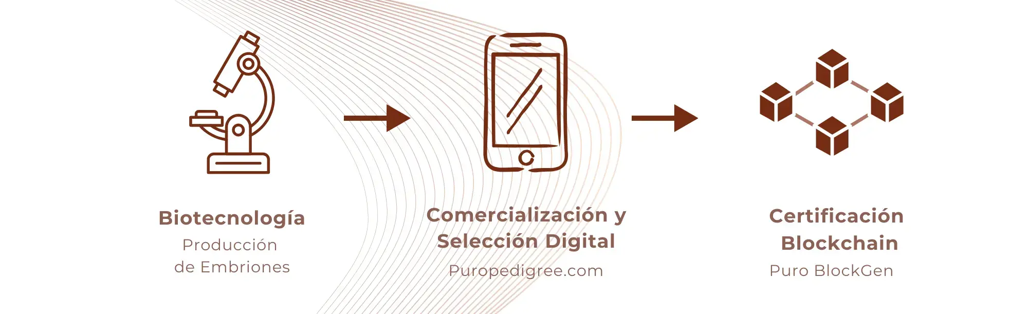 Elementos ecosistema