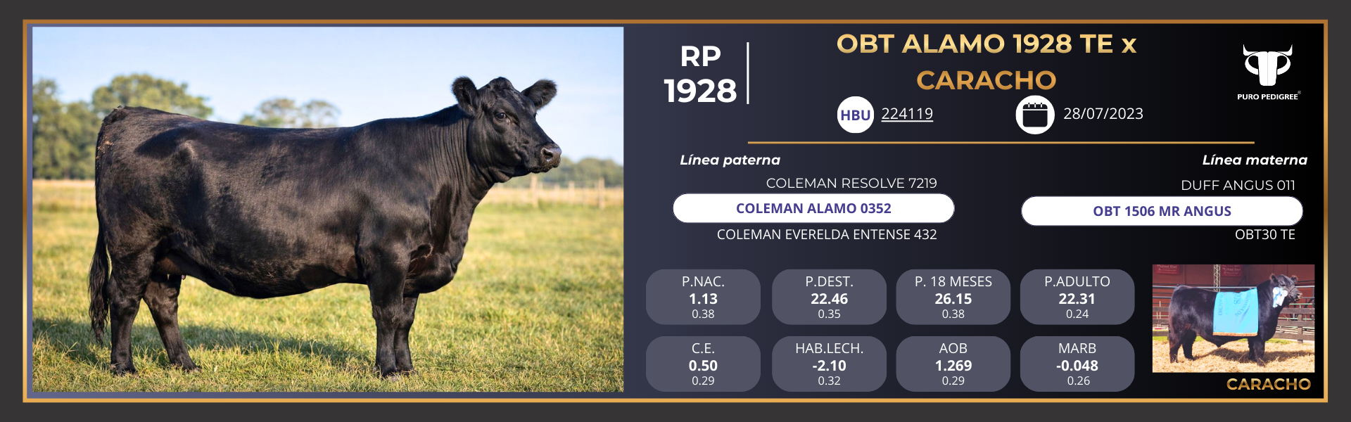 Ficha - OBT ALAMO 1928 TE x CARACHO