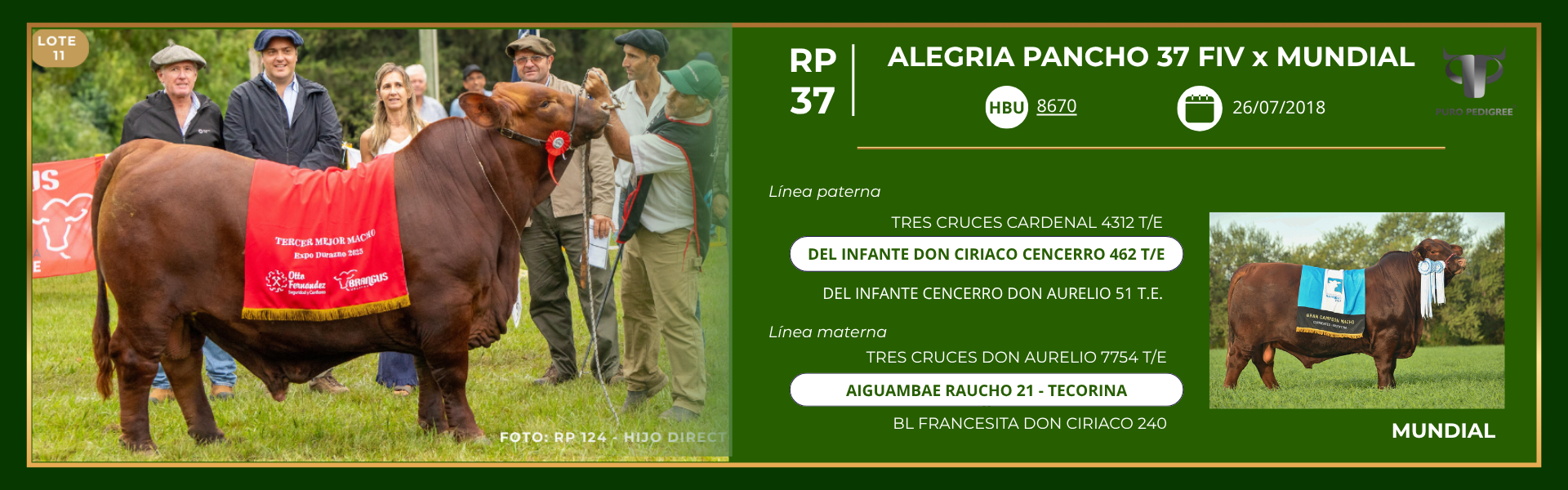 Ficha ALEGRIA PANCHO 37 FIV x MUNDIAL