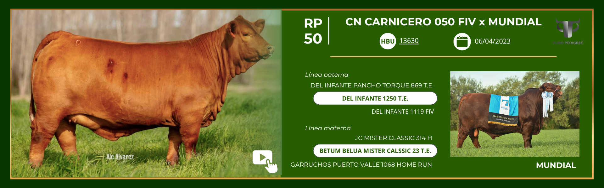 Ficha CN CARNICERO 050 FIV x MUNDIAL