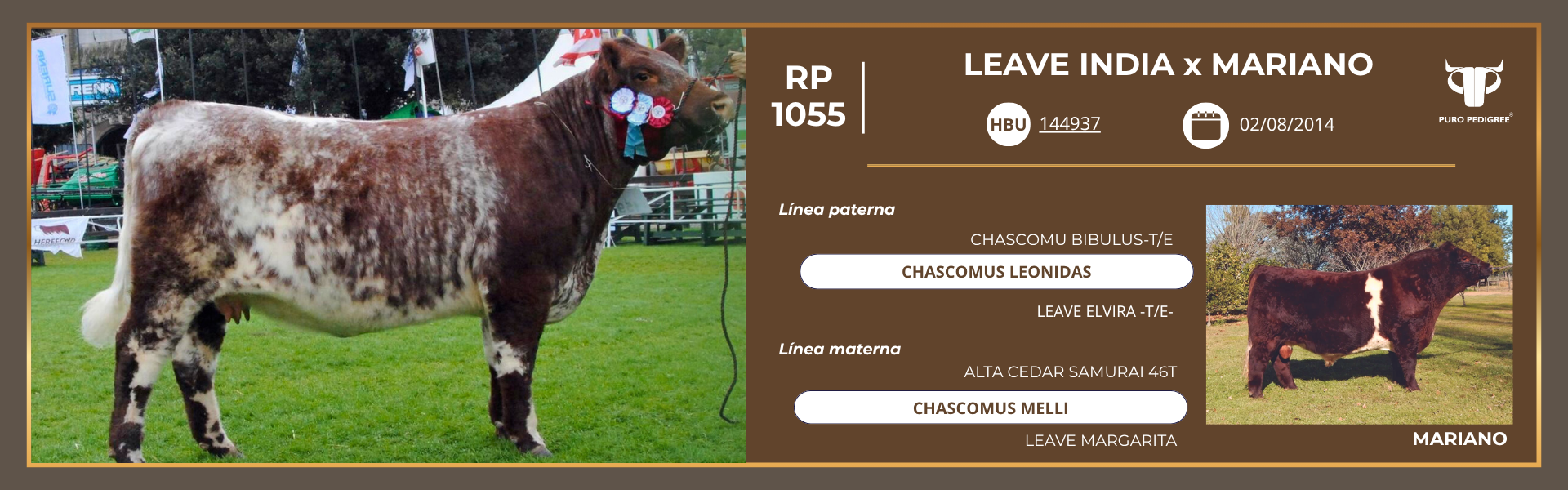 Ficha LEAVE INDIA x MARIANO