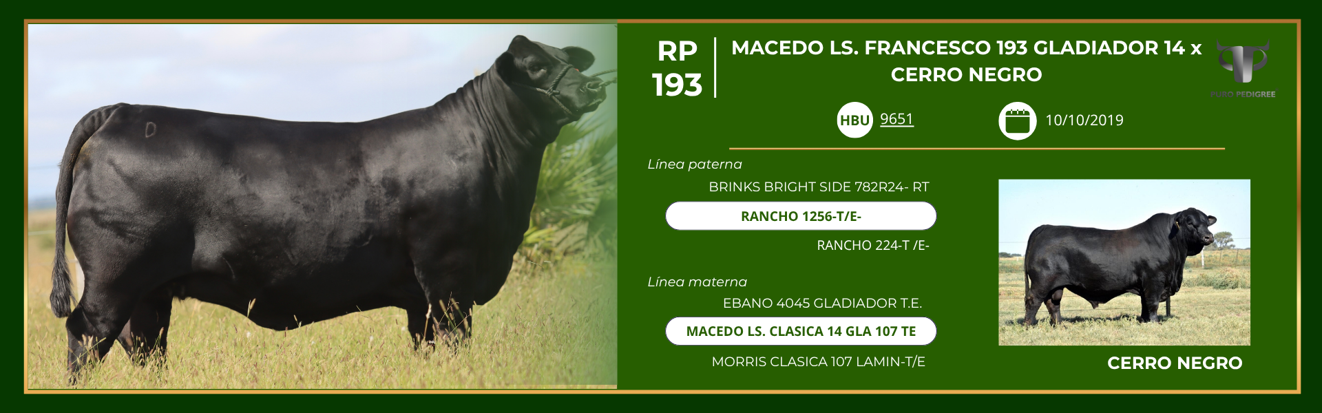 Ficha MACEDO LS. FRANCESCO 193 GLADIADOR 14 x CERRO NEGRO
