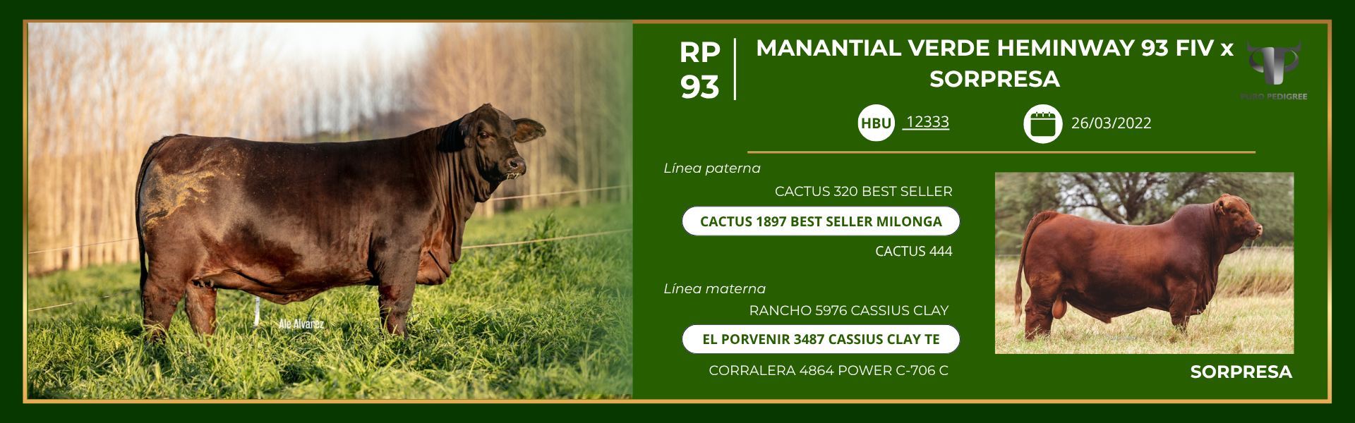 Ficha MANANTIAL VERDE HEMINWAY 93 FIV x SORPRESA-1