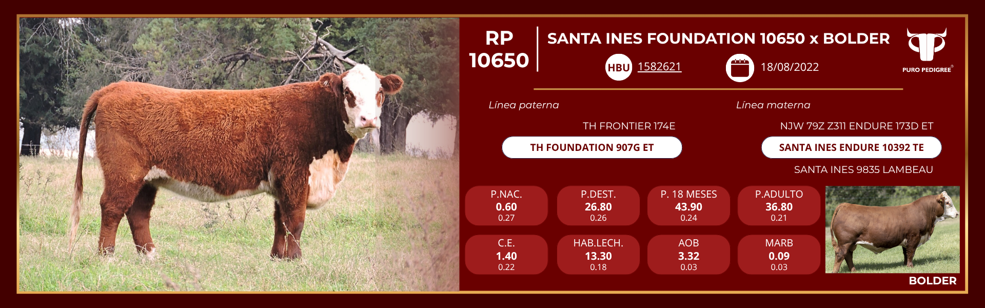 Ficha SANTA INES FOUNDATION 10650 x BOLDER Ficha SANTA INES FOUNDATION 10650 x BOLDER