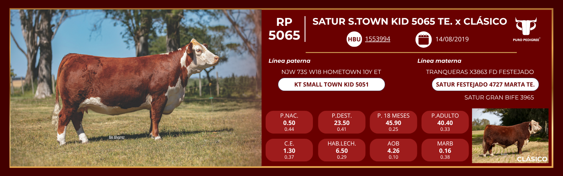 Ficha SATUR S.TOWN KID 5065 TE. x CLÁSICO Ficha SATUR S.TOWN KID 5065 TE. x CLÁSICO