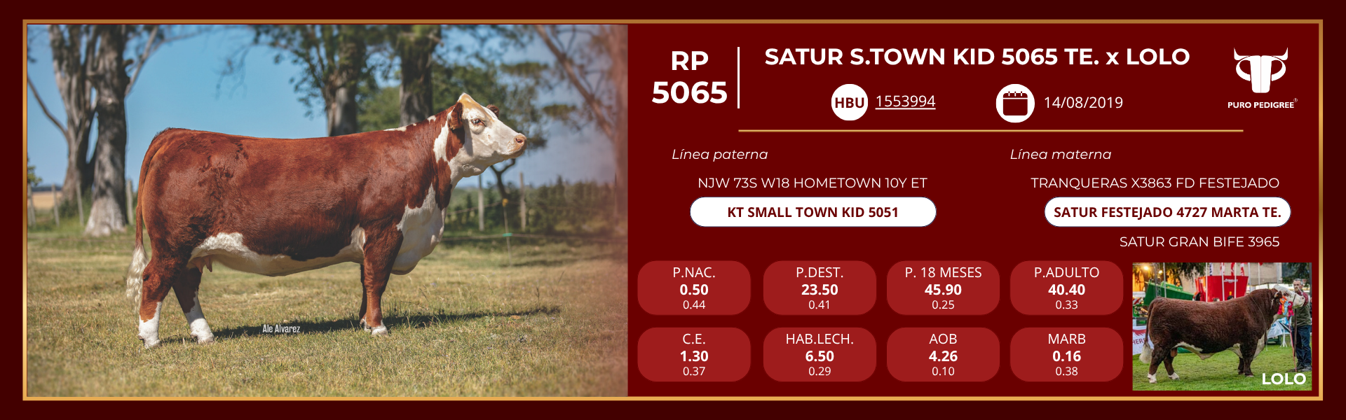 Ficha SATUR S.TOWN KID 5065 TE. x LOLO Ficha SATUR S.TOWN KID 5065 TE. x LOLO