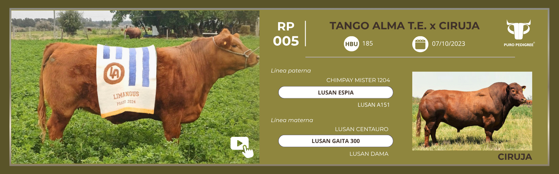 Ficha TANGO ALMA T.E. x CIRUJA