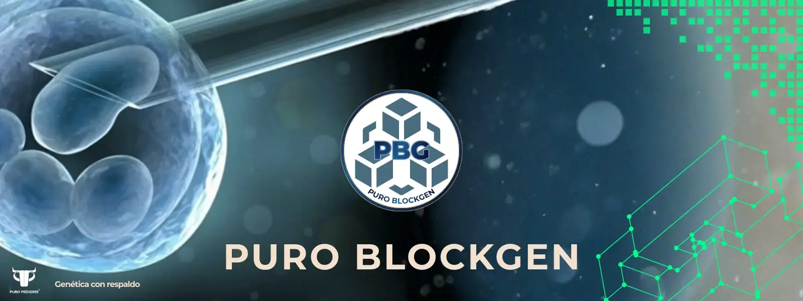 PORTADA Web PURO BLOCKGEN