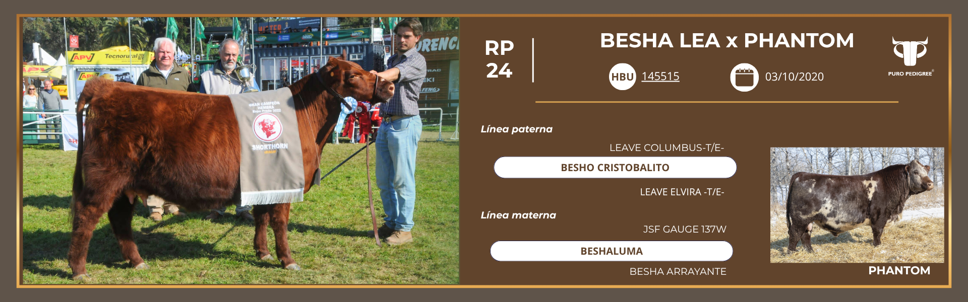 SH - Ficha BESHA LEA x PHANTOM